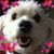Loly Salgado Llanes's profile image