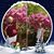 Judy Shipe-Hinton's profile image
