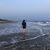 Alice Waldron's profile image
