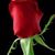Debra Jackson's profile image