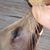 Nicole K. Lynch's profile image