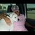 Gina Kays's profile image