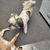 Tammy Rioux Bentley's profile image