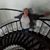 Rhonda Starnes's profile image