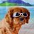 Larry Grossflam's profile image