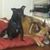 Heather Peterson's profile image