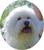 Karen F.'s profile image