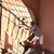 Richard Bulosan's profile image