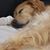 Deanna Eckenfels's profile image