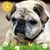 Mitza Davis's profile image
