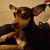 Jason Grasher's profile image