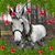 Jessica Roth Thomas's profile image