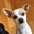 Cindy McLane Walsh's profile image