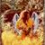 Joneva Jackson's profile image