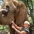 Jeanne Dalton's profile image