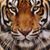 Robert Canclini's profile image