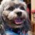 Joseph Spell Heinzen's profile image