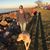 Debbie Marsh Stratis's profile image