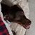 Tammy Ennor's profile image