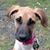 Linda Henkel Goudreau's profile image