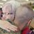 Linda Sinclair's profile image