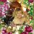 Maureen Kay Wills's profile image