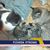 Sherri Rosanne Harris's profile image