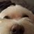 Michelle Klein's profile image