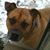 Terry L Johnson's profile image