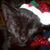 Lisa Gendron-Bioski's profile image