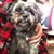 Sandy Streeter-Bergman's profile image