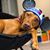 Cher Cooley's profile image