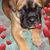 Inessa Papp's profile image