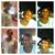 Priscilla McClinton's profile image