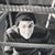 Jake Tomblin's profile image