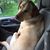 Debbie Leonard Beran's profile image