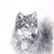Randy Rempfer's profile image