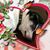 Ann Wickham's profile image