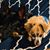 Dearborn Katherine Robert's profile image