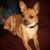 Barbara Titus Trail's profile image