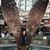 Sandra Sajuan's profile image