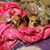 Heather Marie Fields Conn's profile image