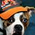Judy Gibson's profile image