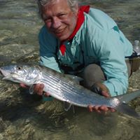 Rick Brown's profile image