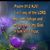 Cathy Schoenfield's profile image