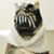 Fabian Gonzales's profile image