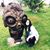 Amber Aldrich's profile image