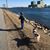 Erin Devine Wilcox's profile image