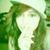 Irma Sanabria's profile image