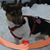 Mj Currier's profile image